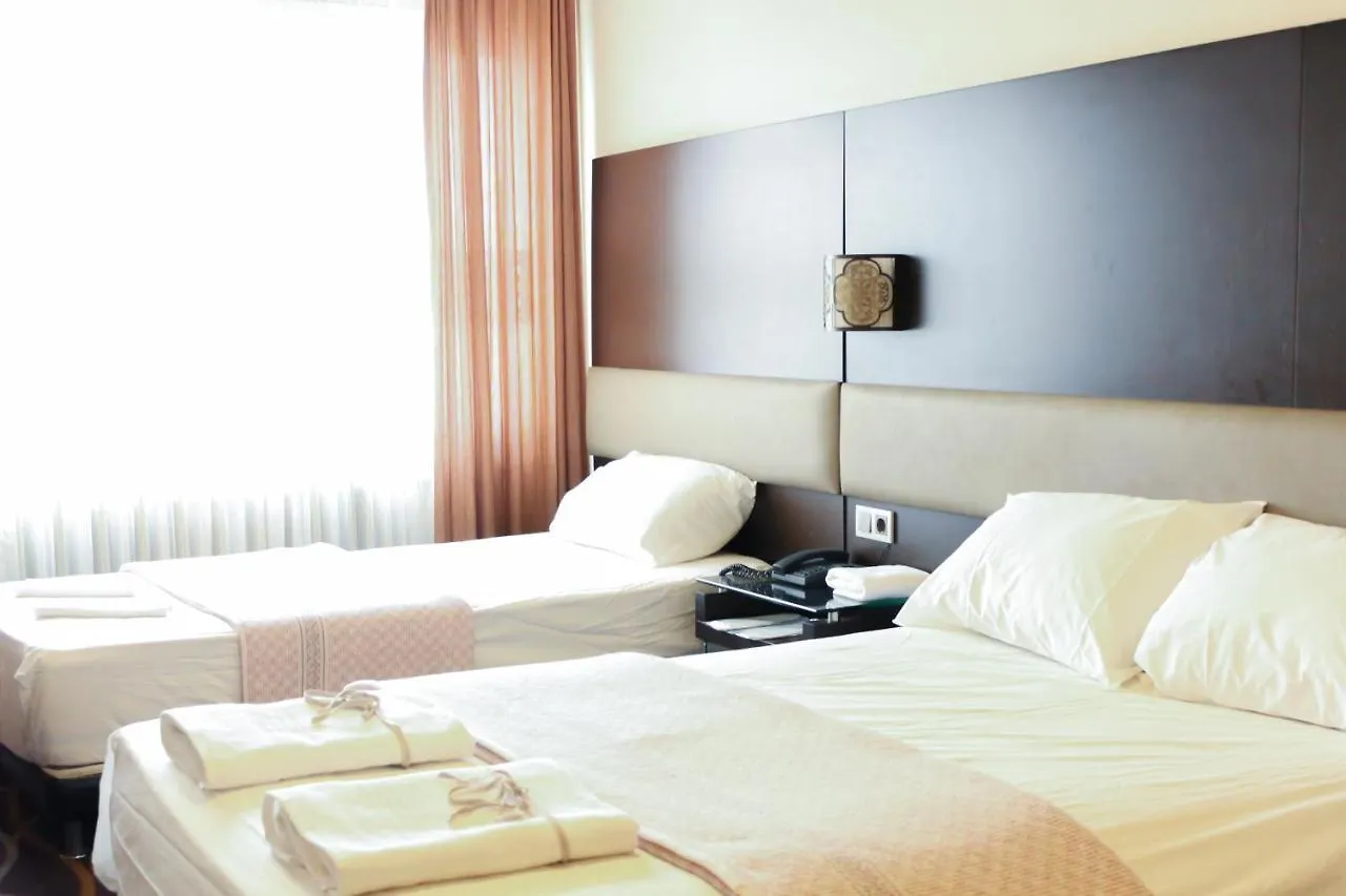 Pluton Hotel Istanbul 2*,